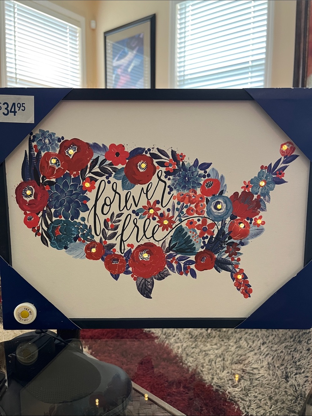 Light Up “Forever Free” Floral USA Map Wall Art 🇺🇸